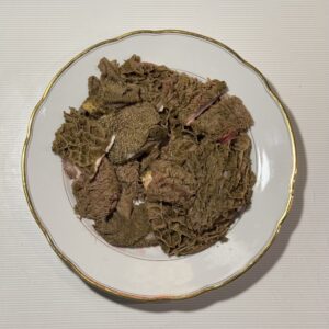 import placeholder for 2600