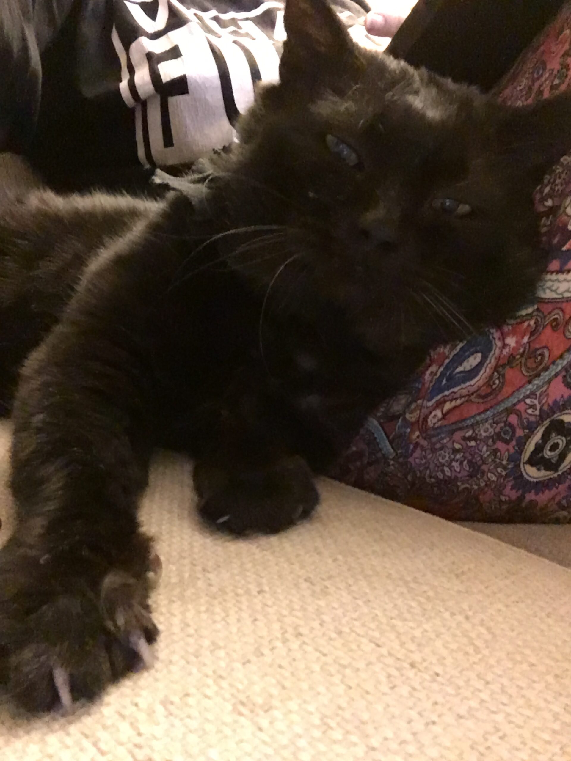 img 0975 scaled.jpeg