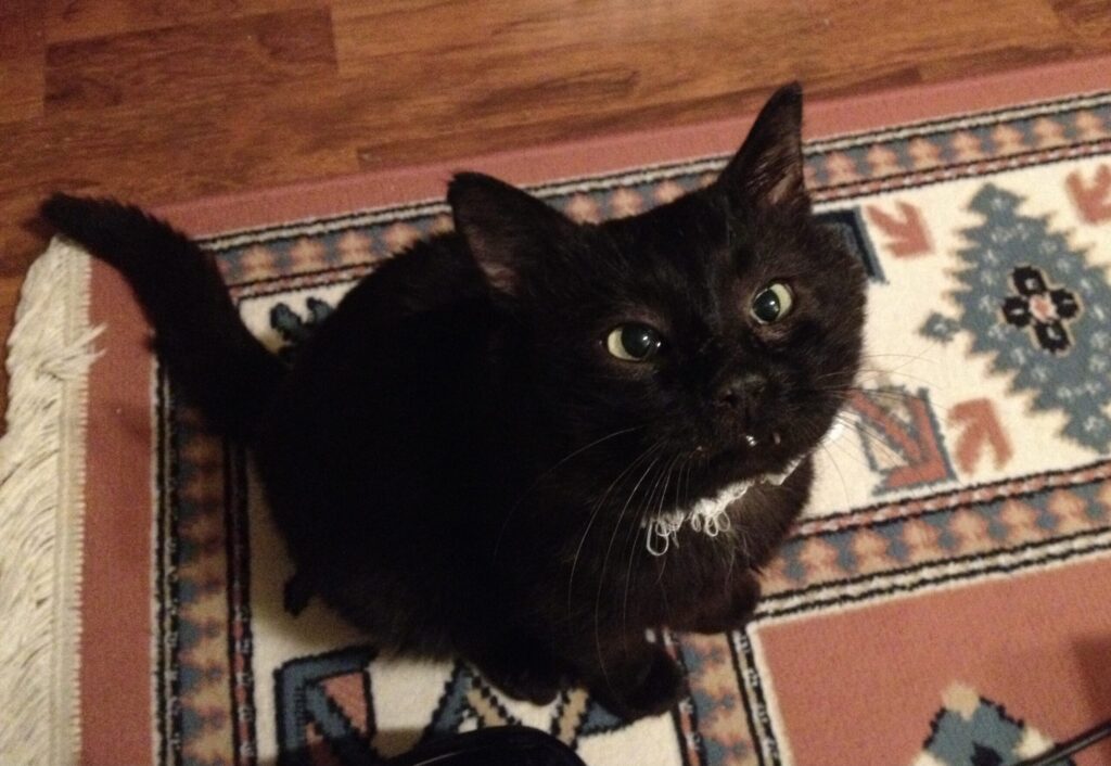 img 5611 scaled.jpeg