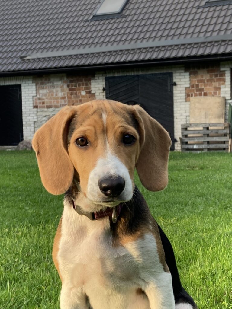 img 6060 scaled.jpeg